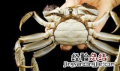 河蟹不能与什么食物同吃 吃河蟹不能吃什么