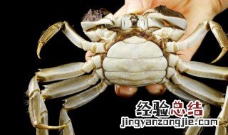 河蟹不能与什么食物同吃 吃河蟹不能吃什么