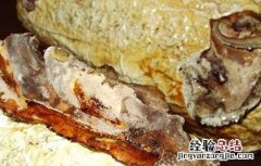 槐耳的功效与作用点 槐耳的功效与作用