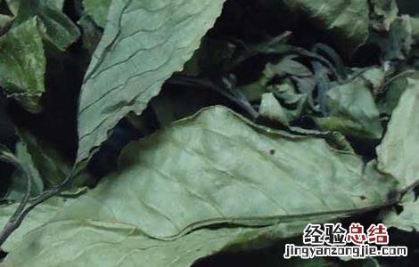 黑面叶的功效与作用 黑面神叶的功效与作用