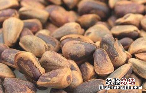 海松子的功效与作用 海松子的功效与作用图片