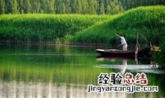春季钓鲤鱼多深的水 看这里
