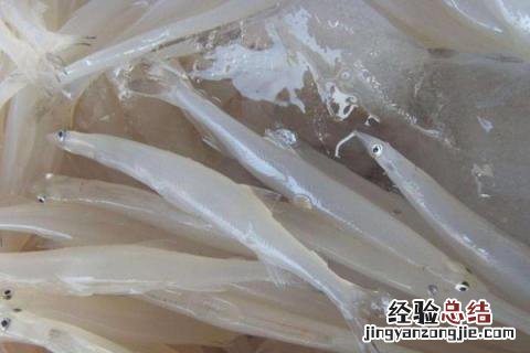 淡水鱼养殖价值高的鱼品种有哪些，附市场价格