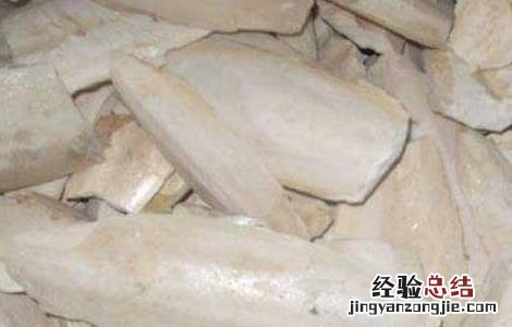 海螵蛸的功效与作用 海螵蛸的功效与作用的功能与主治