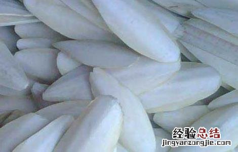 海螵蛸的功效与作用 海螵蛸的功效与作用的功能与主治