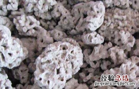海浮石的功效与作用及禁忌是什么 海浮石的功效与作用