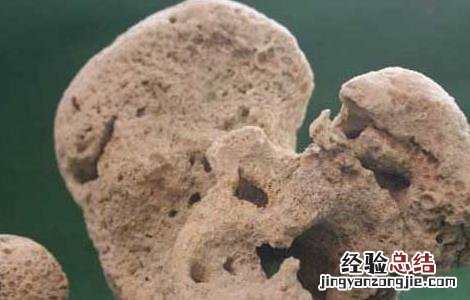 海浮石的功效与作用及禁忌是什么 海浮石的功效与作用