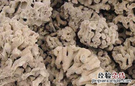 海浮石的功效与作用及禁忌是什么 海浮石的功效与作用
