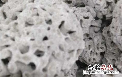 海浮石的功效与作用及禁忌是什么 海浮石的功效与作用
