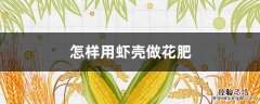 虾壳能做花的肥料吗 怎样用虾壳做花肥