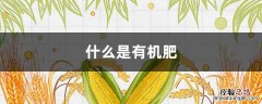 什么是有机肥料和无机肥料 什么是有机肥