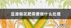 豆渣做花肥需要做什么处理 豆渣能做花肥吗 方法是什么