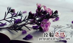 宽慰是什么意思 宽慰是什么意思用在什么地方