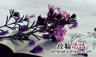 宽慰是什么意思 宽慰是什么意思用在什么地方