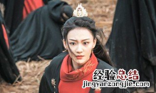 叶红鱼为什么杀掌教 了解一下将夜的剧情故事