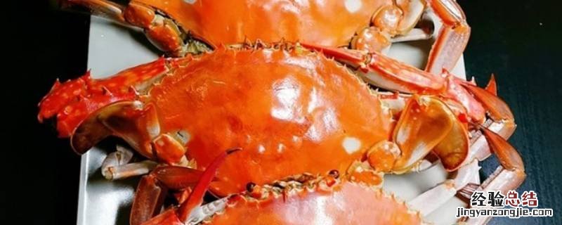 海蟹怎么做好吃 海蟹怎么吃好吃