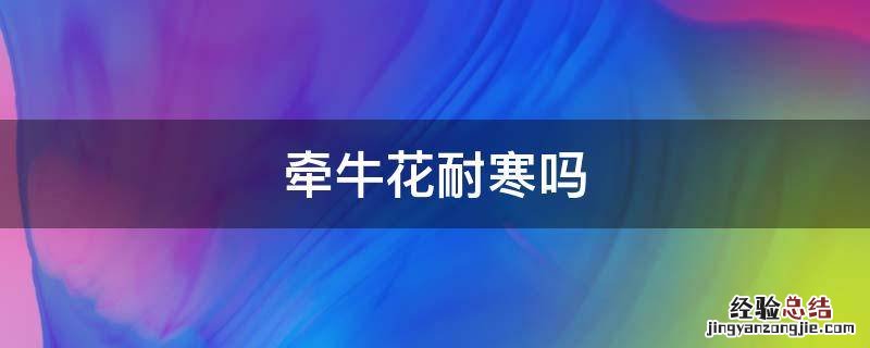 牵牛花耐寒最低温度 牵牛花耐寒吗