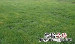 灭草松除草剂使用范围是什么 灭草松除草剂怎么使用？