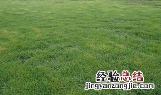 灭草松除草剂使用范围是什么 灭草松除草剂怎么使用？