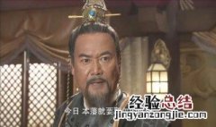 八贤王打太后是什么电视剧 电视剧介绍