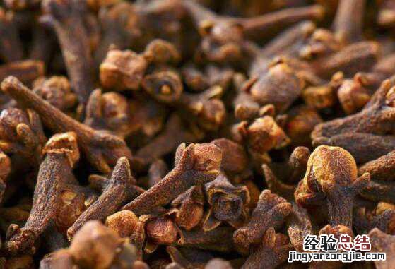 丁香的功效与作用及禁忌是什么 丁香的功效与作用及禁忌有哪些