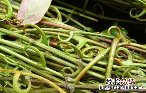 钩藤的功效与作用图片 钩藤的功效与作用