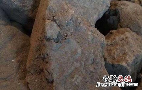 干漆的功效与作用 干漆的功效与作用禁忌