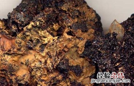 干漆的功效与作用 干漆的功效与作用禁忌
