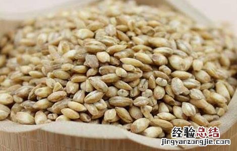 浮小麦的功效与作用及禁忌 浮小麦的功效与作用