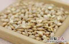浮小麦的功效与作用及禁忌 浮小麦的功效与作用