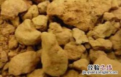 伏龙肝的功效与作用 伏龙肝的功效与作用,伏龙肝的副作用