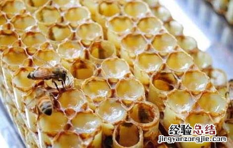 蜂乳的功效与作用 蜂乳的功效与作用及禁忌