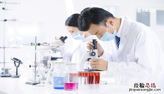 原核生物的染色体的主要成分是什么 染色体的主要成分是什么