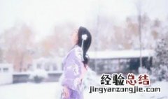 满宫花雪霏霏原文翻译 琪花玉蔓应相笑的译文