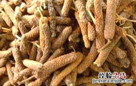 荜茇的功效与作用 荜茇的功效与作用及禁忌香草