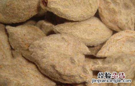 碧桃干的功效与作用点 碧桃干的功效与作用