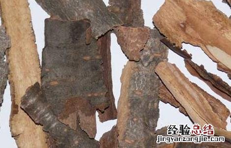 暴马子的功效与作用 黄芩的功效与作用