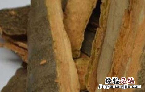 暴马子的功效与作用 黄芩的功效与作用