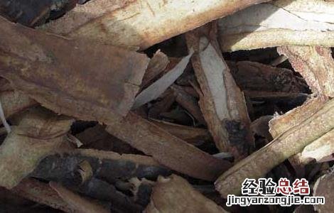 暴马子的功效与作用 黄芩的功效与作用