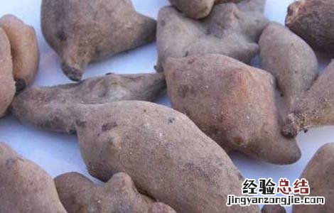 百药煎的功效与作用 百药煎的功效与作用用量