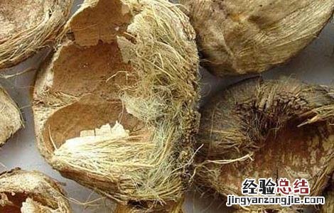 大腹皮的功效与作用 大腹皮的功效与作用点用方法
