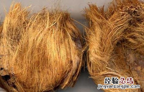 大腹皮的功效与作用 大腹皮的功效与作用点用方法
