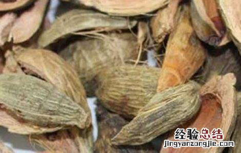 大腹皮的功效与作用 大腹皮的功效与作用点用方法
