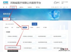 河南生育待遇跨省通办网上办理流程 计划生育网上办事大厅河南省