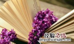 好笑吸引人的小句子女生 好笑吸引人的小句子