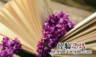 好笑吸引人的小句子女生 好笑吸引人的小句子