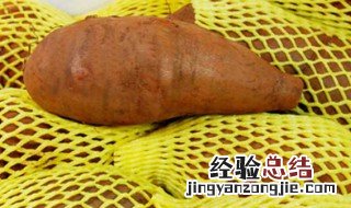 雪莲果呕吐的人能吃吗 雪莲果什么人不能吃
