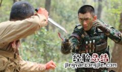《特种兵之霹雳火》蓝妞失踪是哪一集的剧情? 电视剧内容介绍