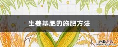 生姜基肥的施肥方法有哪些 生姜基肥的施肥方法