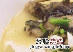 黄鸭叫煮豆腐的营养价值 黄鸭叫炖豆腐的功效与作用